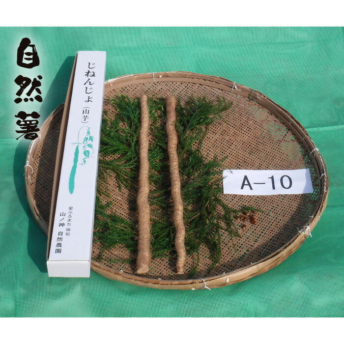 【ふるさと納税】No.174 自然薯　A-10 ／ 野菜 山芋 じねんじょ とろろ 送料無料 山口県