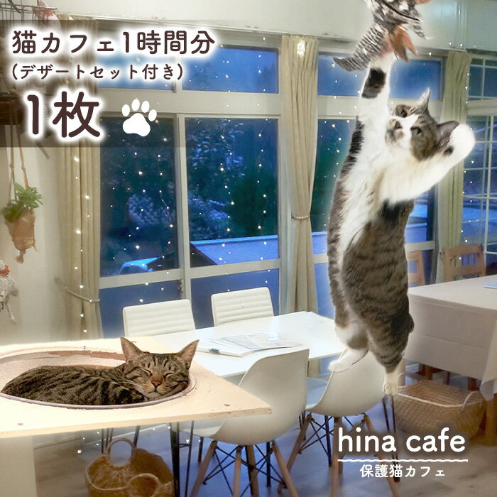 【ふるさと納税】No.201 デザートセットチケット1枚 / hinacafe 猫カフェ スイーツ ドリンク 保護猫 遊び 触れ合い 写真撮影 まったり 癒し ...