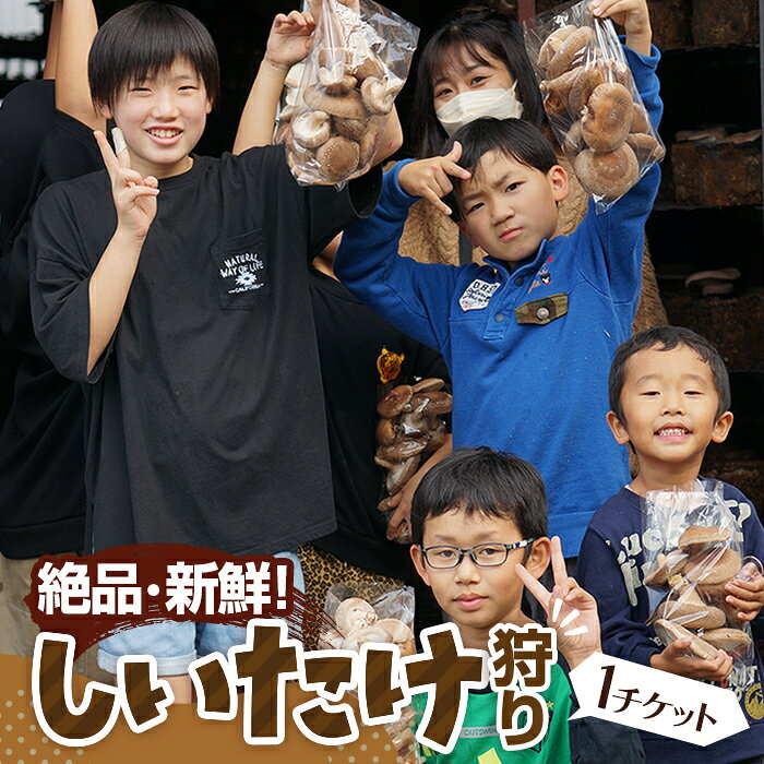 【ふるさと納税】No.207 【★絶品・新鮮★しいたけ狩り!】もぎたてを焼いて試食もできるしいたけ狩り!ファミリー・女性・カップルに◎♪ / 体験チケット 収穫...