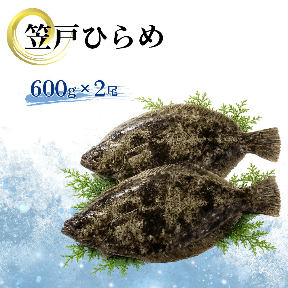 笠戸ひらめ / ひらめ ヒラメ 鮮魚 刺身用 笠戸ひらめ 魚 旬 魚介 下松 産地直送 旨み 食感 海の幸 お取り寄せ ごちそう グルメ 家庭料理 下松市ヒラメ 瀬戸内 新鮮 送料無料 山口県 No.003