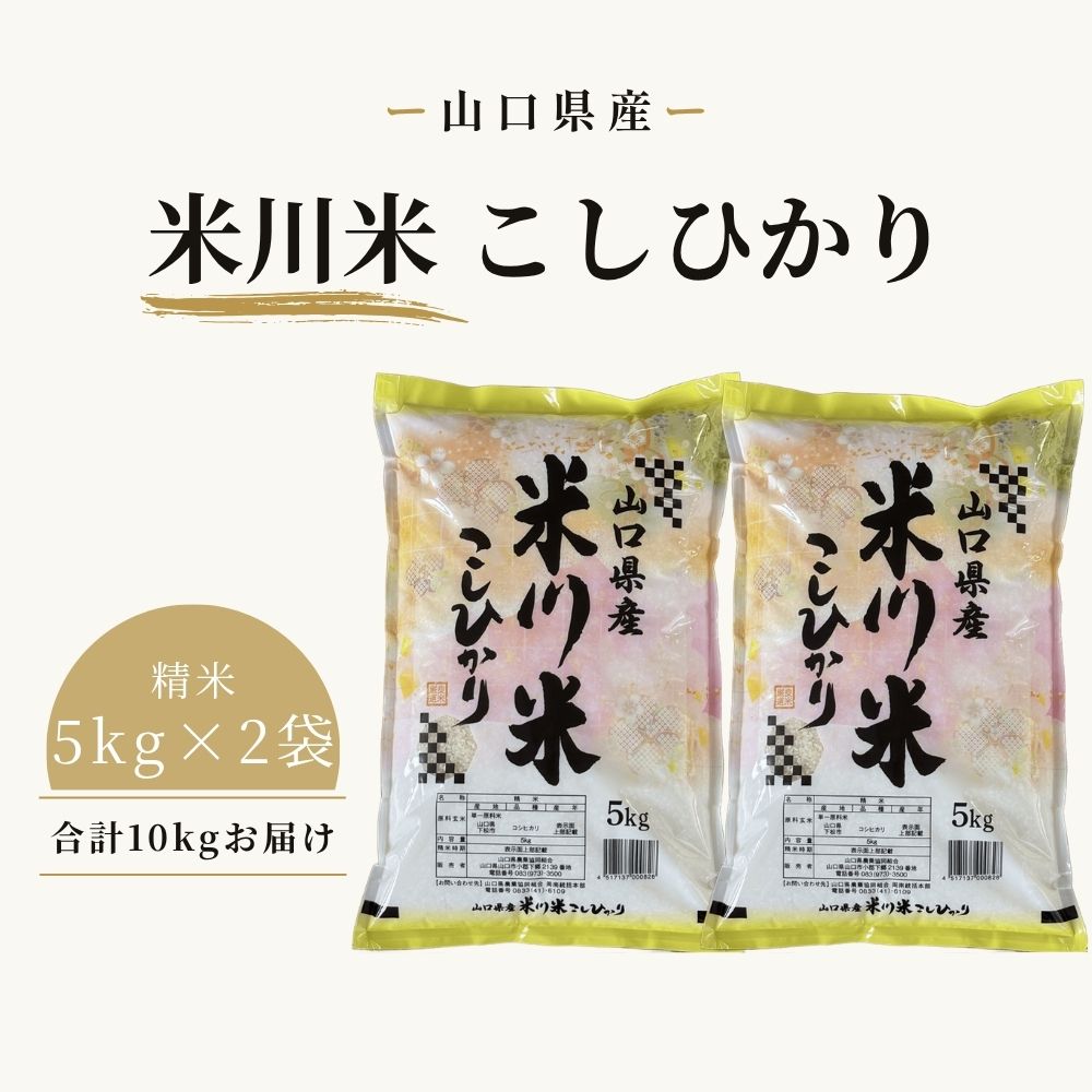 米川 こしひかり 精米 10kg (5kg×2袋) / 米 お米 コシヒカリ こしひかり 精米 白米 10kg 米川こしひかり 米川米 一等米 1等米 湧き水 山間部 寒暖差15℃ 希少品 米川地区 No.018