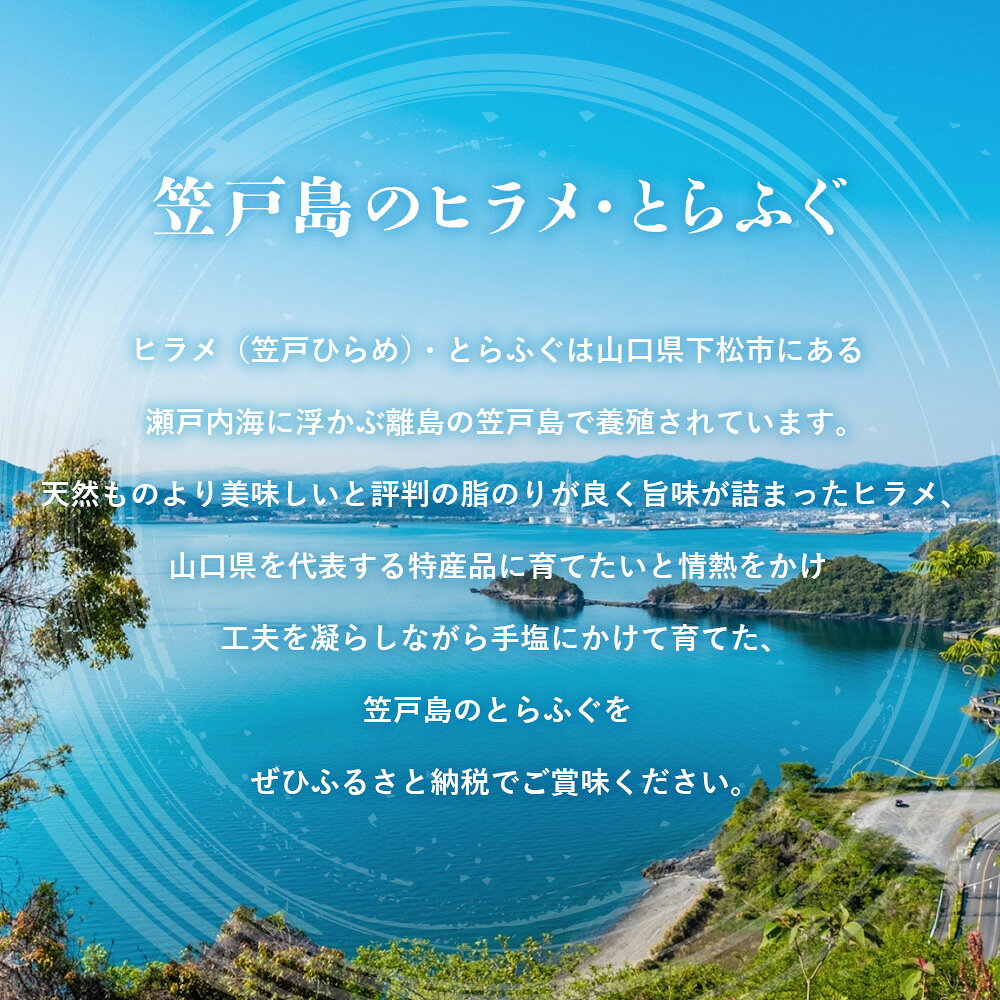 【ふるさと納税】 笠戸 ひらめ とらふぐ お刺身 （陶器皿）約2～3人前【引換券】 ／ ひらめ とらふぐ 刺身 盛り合わせ 食べ比べ 海鮮 引換券 魚介 ふぐ刺し 平目 2～3人前 32cm陶器皿 No.188 f352071-kudamatsu-10000160 山口県下松市 サンプル画像3