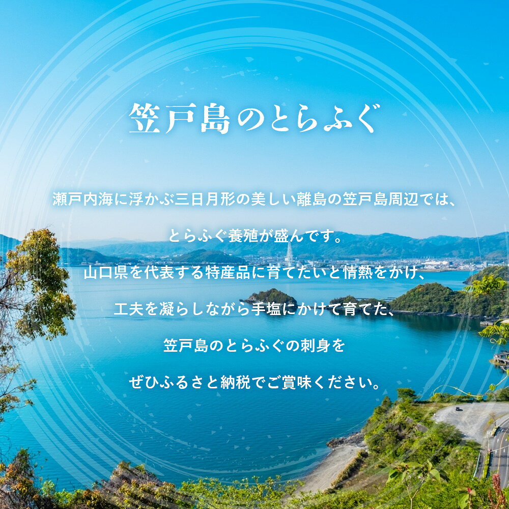 【ふるさと納税】 とらふぐ お刺身 （朱皿プラスチック）約3～4人前【引換券】下松産 ／ とらふぐ フグ 刺身 下松 ふぐ刺し 旬 魚介 海鮮 お取り寄せ グルメ 新鮮 旨み ぷりぷり 引換券 ご当地 山口 伝統 逸品 贅沢 送料無料 山口県 No.189 f352071-kudamatsu-10000161 山口県下松市 サンプル画像3