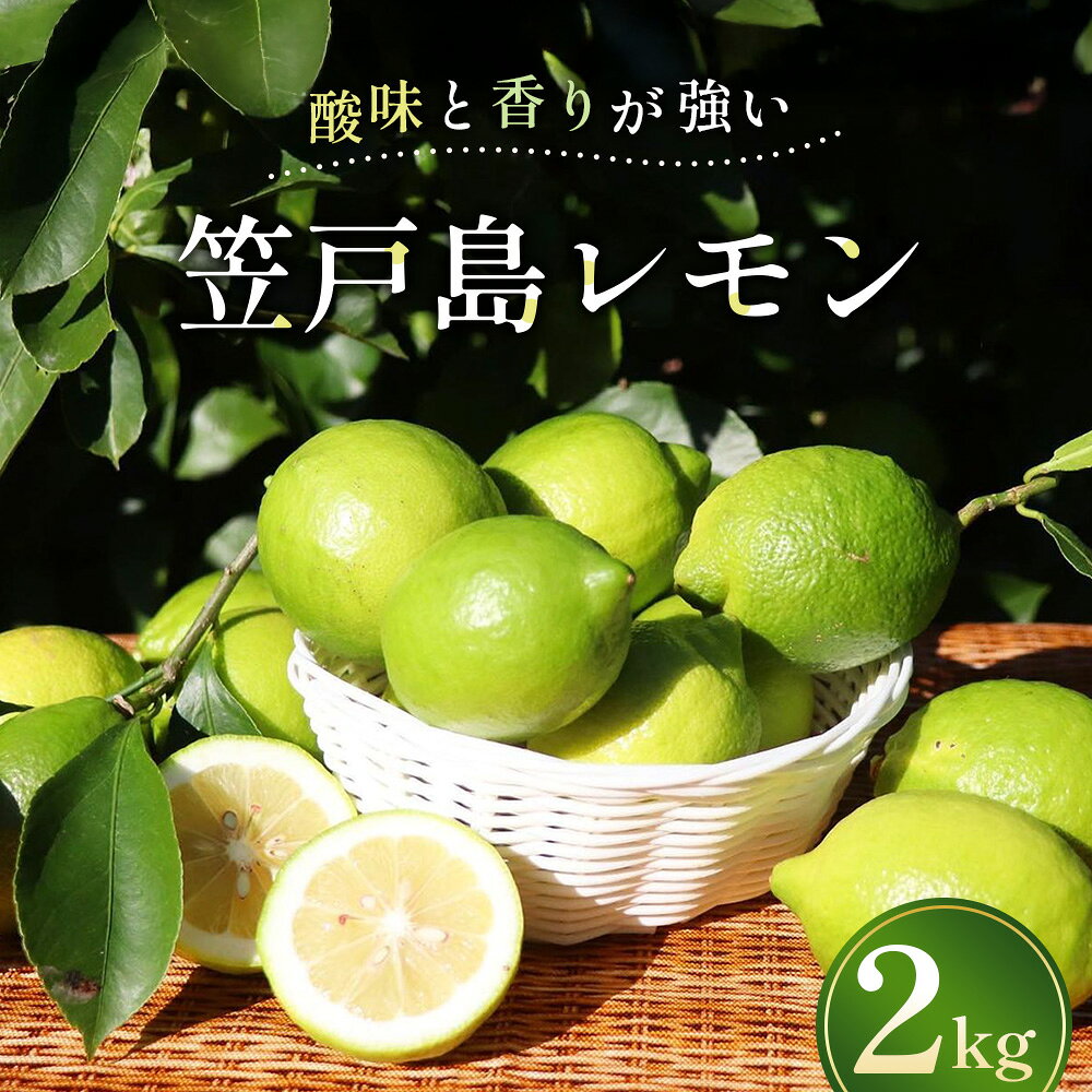 笠戸島レモン レモン リスボンレモン 有機栽培