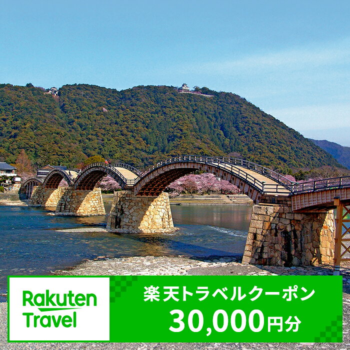 【ふるさと納税】山口県岩国市の対象施設で使える楽天トラベルクーポン寄付額100 000円 錦帯橋 岩国城 寂地峡 吉香公園 紅葉谷公園 錦川清流線