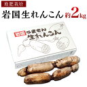 【ふるさと納税】堆肥栽培岩国生れんこん 2kg【うまもん株式会社】