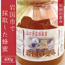 ・ふるさと納税よくある質問はこちら ・寄付申込みのキャンセル、返礼品の変更・返品はできません。 　あらかじめご了承ください。 商品詳細 名称 岩国の恵み（めぐみ）‘岩国市で採取した蜂蜜’【(有)ビ庵】 産地名 山口県岩国市 内容量 ハチミツ(400g) 配送温度帯 常温 申込期日 通年 発送期日 入金確認後、随時発送 賞味期限 3年 アレルギー 1歳未満のお子様は絶対に食べられませんようご注意ください。 詳細 温暖な瀬戸内の気候の下、咲き誇る花から蜂たちが運んできた蜜はまさに岩国の恵み。 美容にも効果抜群な岩国産のはちみつの味、色、香りを堪能してみてください。 なお、季節に咲く花々で多少はちみつの味に違いがあります。 冬場になりますと結晶しますが、湯せんすれば元にもどります。 注意事項 ※1歳未満のお子様は絶対に食べられませんようご注意ください。 ※写真は見本です。 提供 有限会社ビ庵