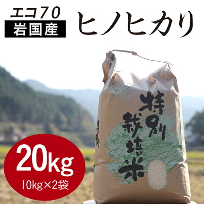 エコ70　ヒノヒカリ（20kg）【福本農園】