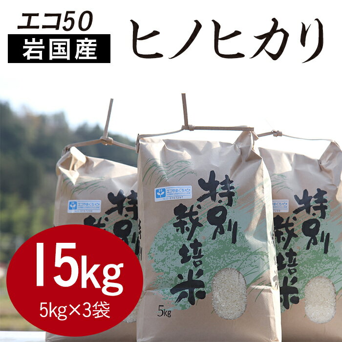 【ふるさと納税】エコ50　ヒノヒカリセット（5kg×3袋）【