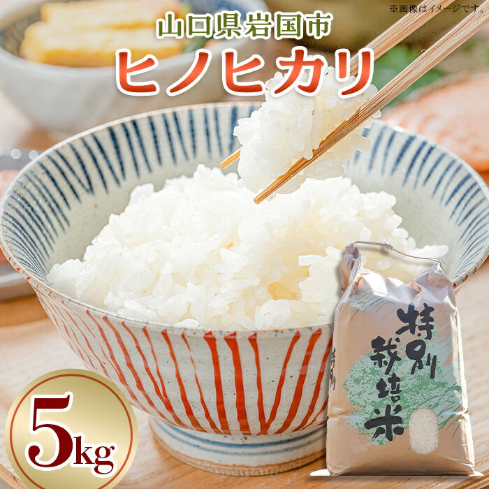 【ふるさと納税】米 コメ 白米 精米 ヒノヒカリ 5kg 岩国市 美和町産のサムネイル