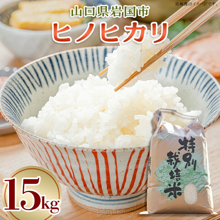【ふるさと納税】米 コメ 白米 精米 ヒノヒカリ 15kg 岩国市 美和町産