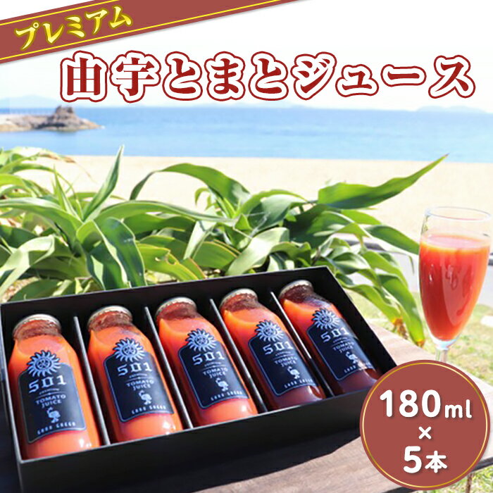 ڤդ뤵ǼǡۥץߥͳȤޤȥ塼180ml5ܡ