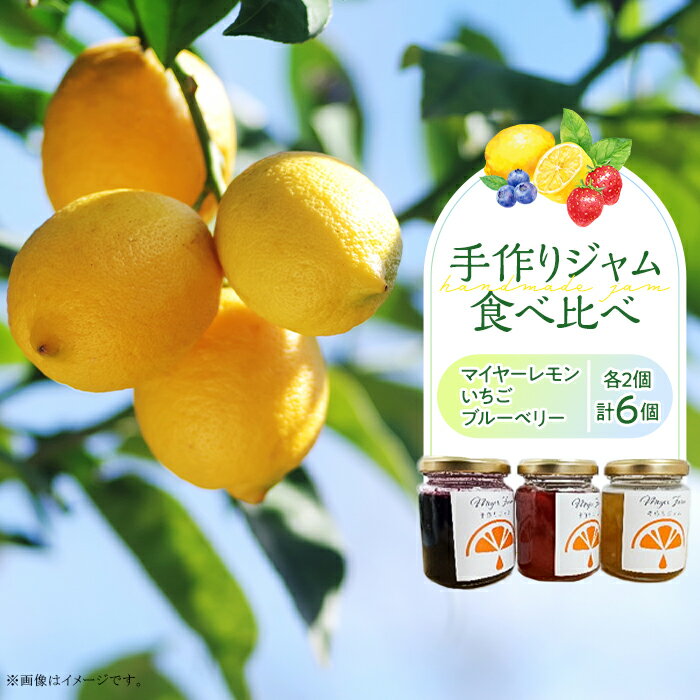 【ふるさと納税】無添加 手作りジャム 6個 食べ比べ (いちご ブルーベリー マイヤーレモン 各2個入り)