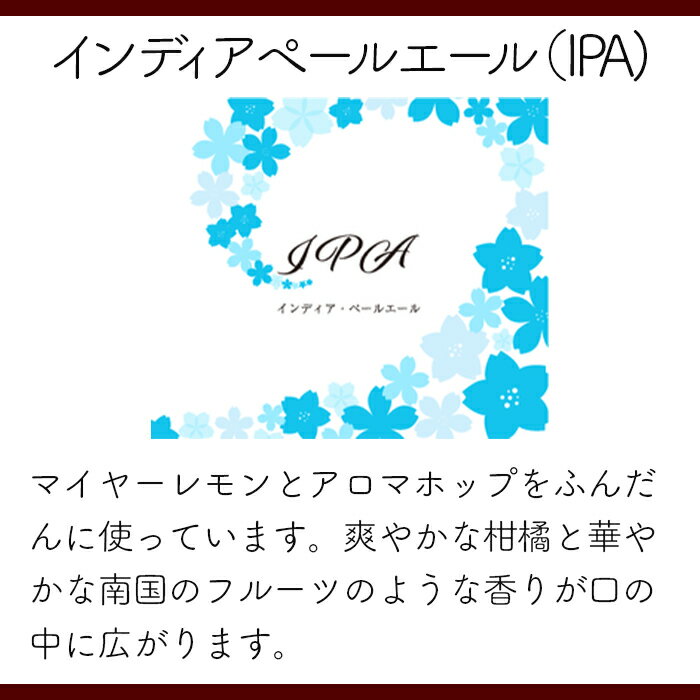 【ふるさと納税】クラフトビール10本セット「マイヤーブルワリー」（330ml×10本）