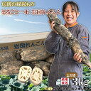 2位! 口コミ数「1件」評価「5」蓮根 レンコン 岩国蓮根 岩国れんこん 山口 泥 土付き 3kg 3キロ 由美屋特選！岩国産れんこん3kg(土付き)【有限会社 由美屋】