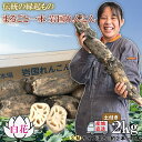 【ふるさと納税】蓮根 レンコン 岩国蓮根 岩国れんこん 山口 泥 土付き 2kg 2キロ 白花 晩成 由美屋特選 白花岩国れんこん2kg 土付き 【有限会社 由美屋】