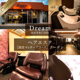 【ふるさと納税】Dream Dream HAIR ＆ CARE ヘアエステ 頭皮マッサージコース クーポン 送料無料 チケット 利用券 ヘッドスパ ヘアケア マッサージ 頭皮 スカルプケア 美容院 エステ サロン AV03