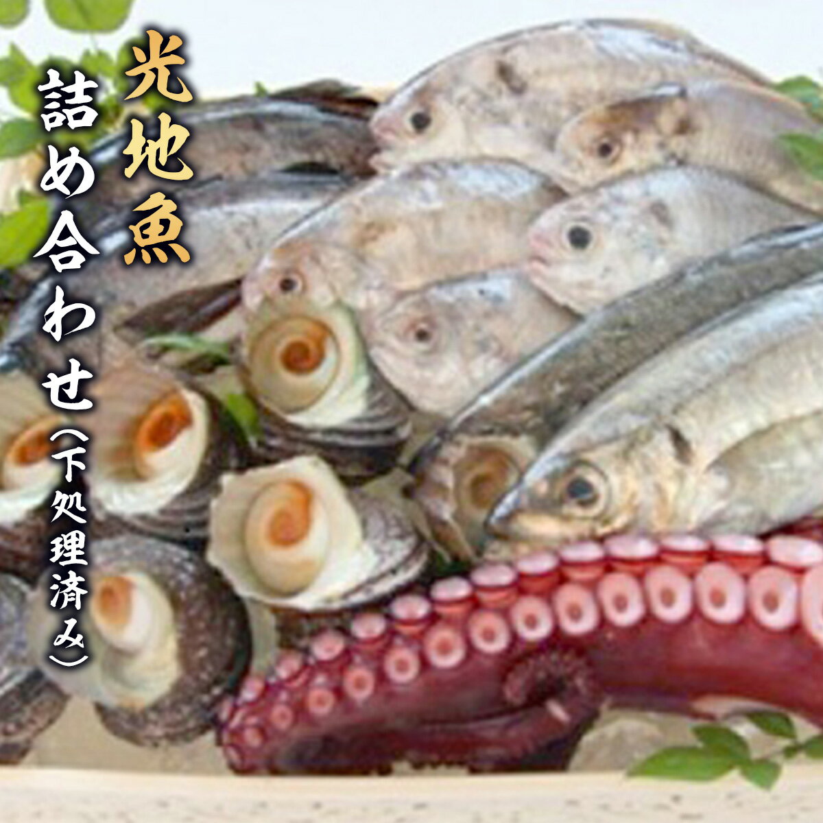 3位! 口コミ数「1件」評価「5」光地魚 詰め合わせ 下処理済み 送料無料 魚 セット 海鮮 贈り物 ギフト 贈答 お中元 お歳暮 お祝い のし B001B