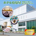 【ふるさと納税】BA02 ホテル松原屋 6000円分クーポン お食事券 宿泊券 利用券 食事 チケット ホテル