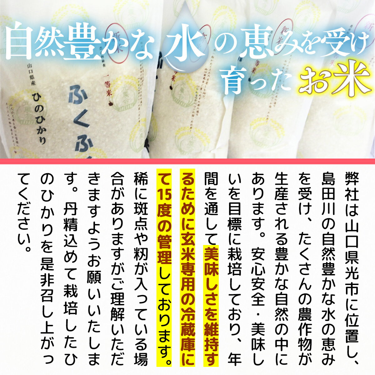 山口県光市の画像3