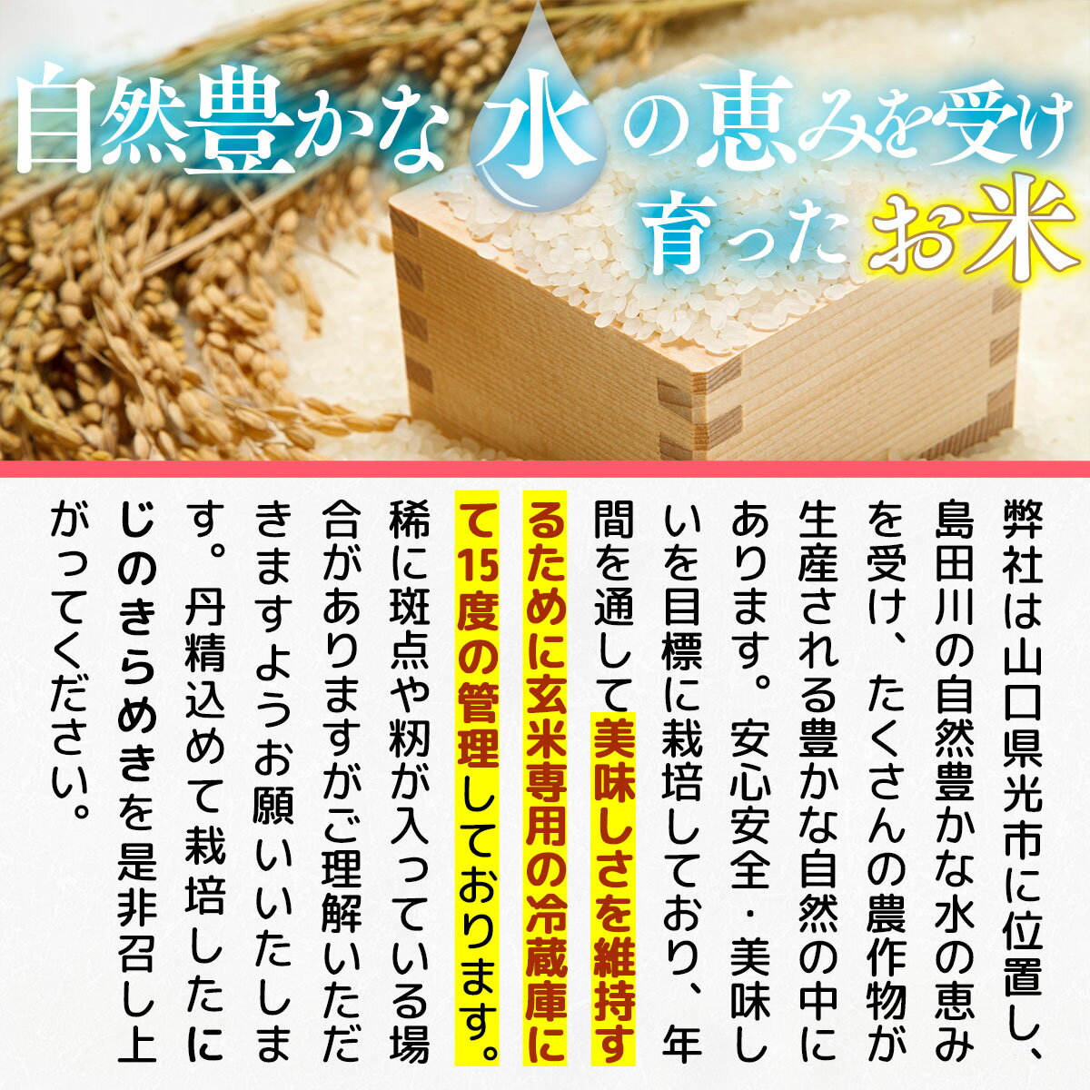 山口県光市の画像2