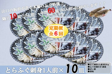 【ふるさと納税】とらふぐ 刺身 定期便 コース 小分け 1人前【隔月10皿(10人前)×6ヶ月】(250001)
