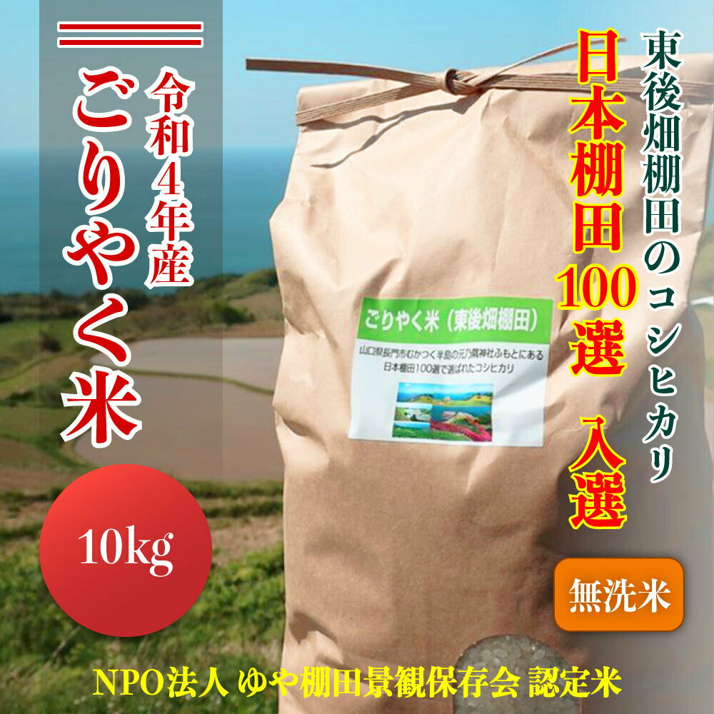 【ふるさと納税】無洗米　玄米相当分　こしひかり　10kg　【令和4年産】　「ごりやく米」　棚田米　東後畑(1269)