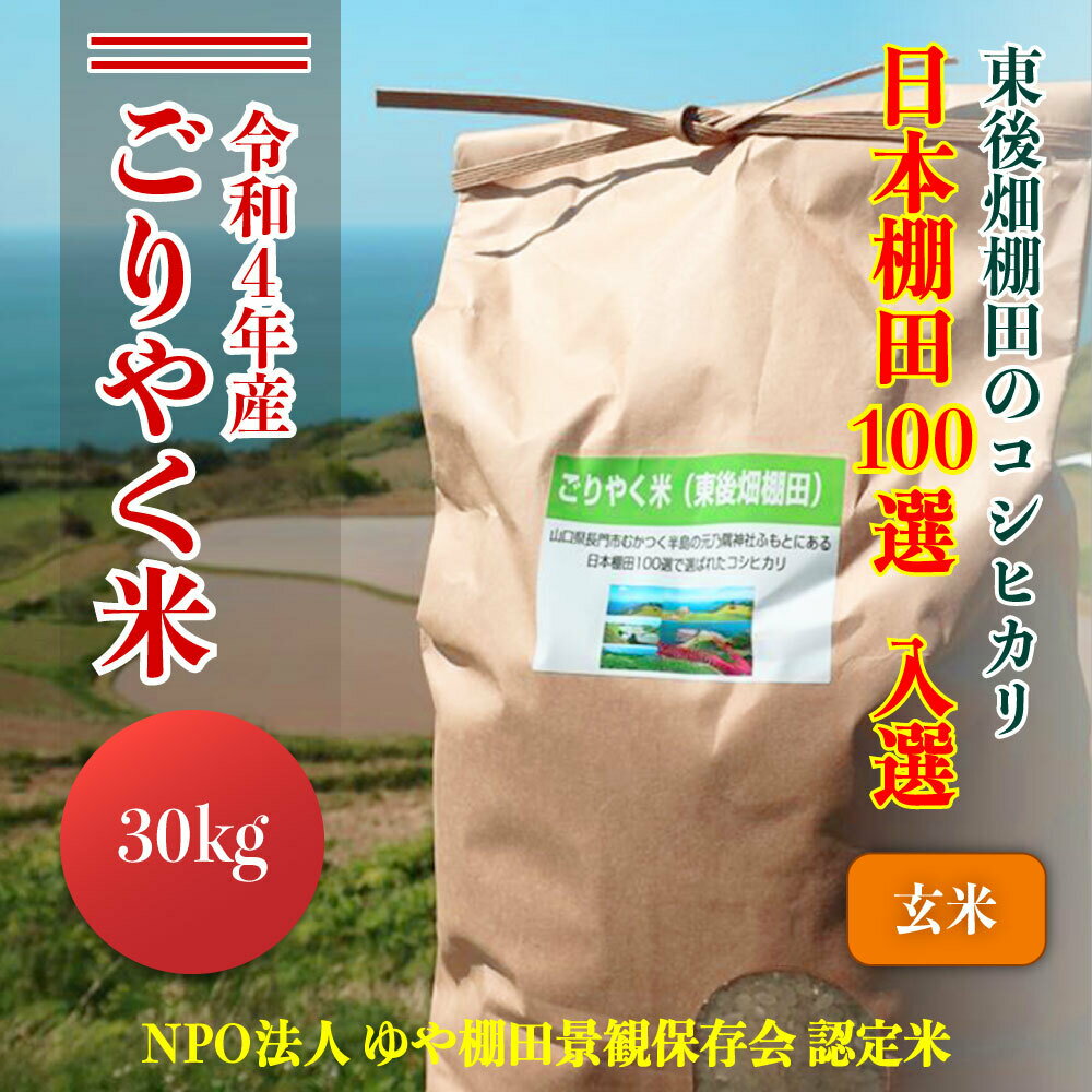 【ふるさと納税】お米　こしひかり　30kg　　【令和4年産】　「ごりやく米」　棚田米　東後畑　玄米(1539)