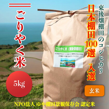 ※令和6年度産先行予約※ お米 玄米 こしひかり 5kg 玄米 「ごりやく米」コシヒカリ (1150)