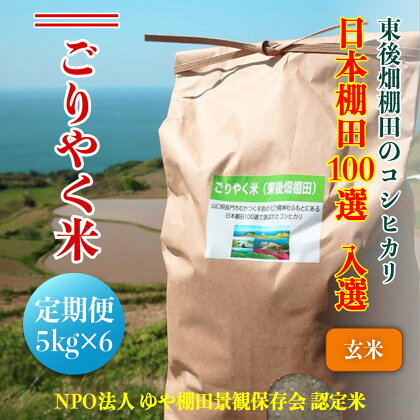 お米 コシヒカリ 5kg 定期便 【令和5年産】 「ごりやく米」 棚田米 東後畑 玄米 毎月 年6回(1605)