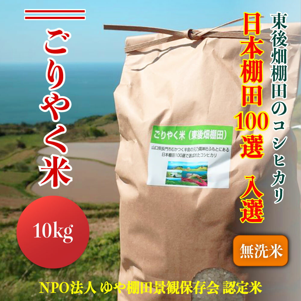 【ふるさと納税】※令和6年度産先行予約※ 無洗米 玄米相当分 こしひかり 10kg 「ごりやく米」 棚田米 東後畑 (1269)