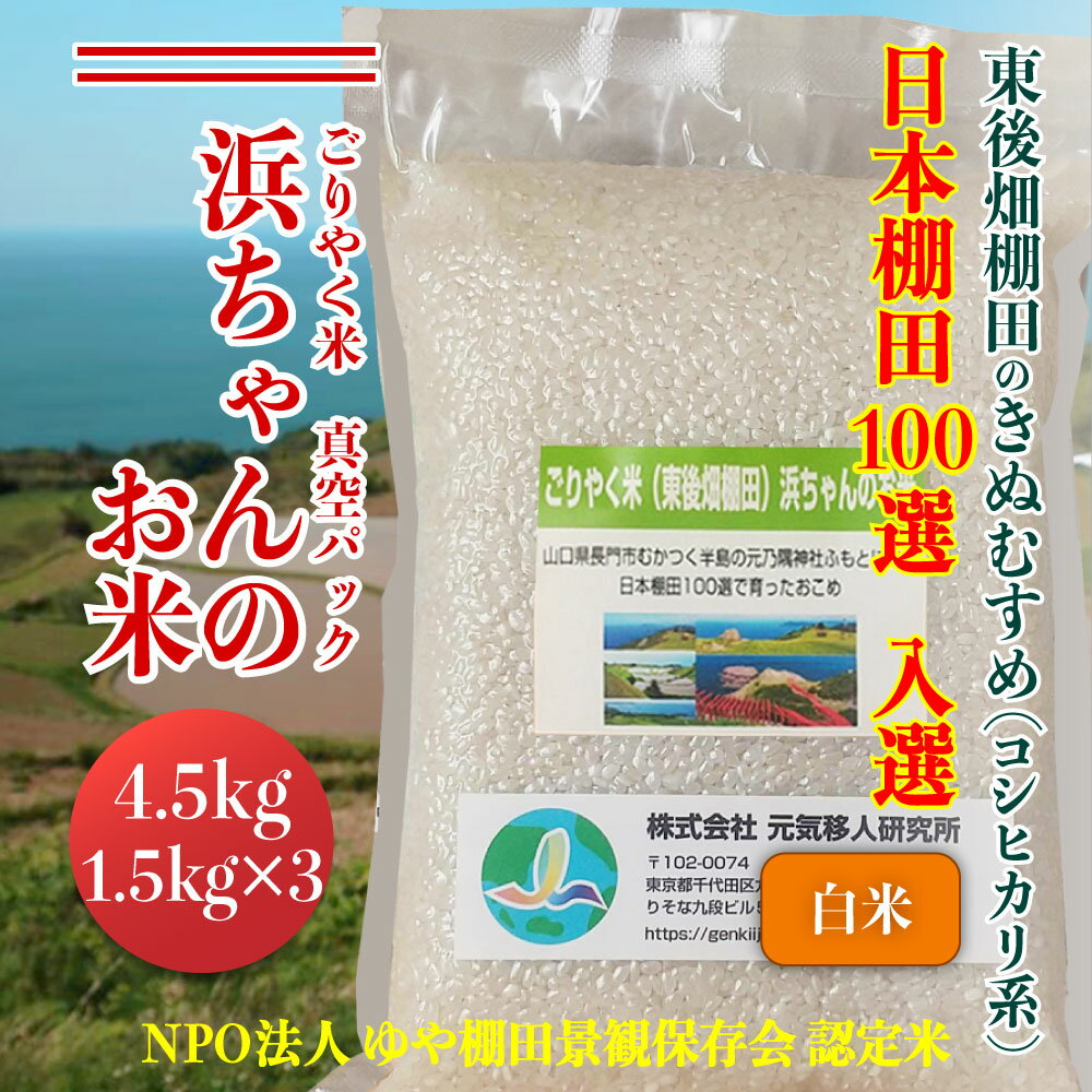 米 こめ お米 白米 精米 きぬむすめ ごりやく米 「東後畑棚田きぬむすめ」 白米4.5kg 真空パック 1.5×3個 小分け 棚田米 棚田 長門市 (10001)