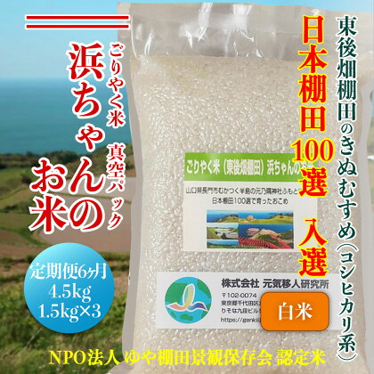 米 お米 白米真空パック 定期便 定期 毎月 毎月コース 白米 精米 きぬむすめ 真空 真空パック 小分け ごりやく米 「東後畑棚田きぬむすめ」 白米4.5 kg(白米真空パック1.5kg×3個) 棚田米 棚田 長門市 お米の定期便 定期購入 (1903)