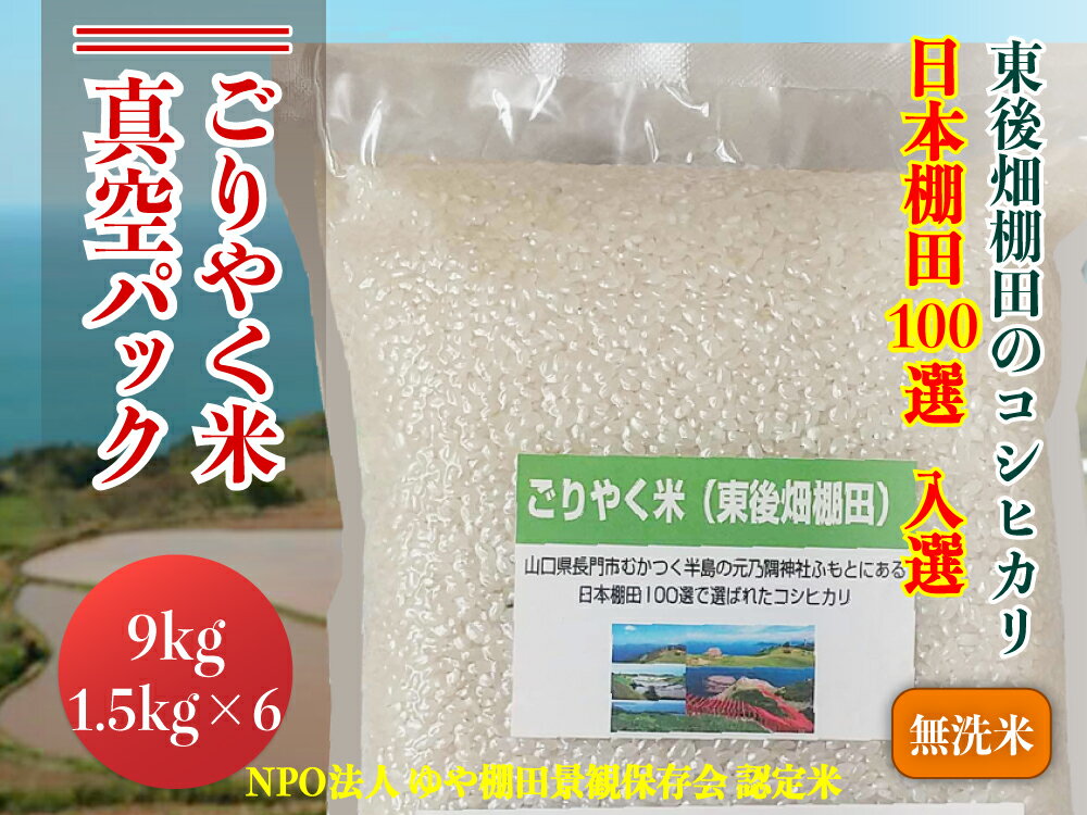 【ふるさと納税】お米 米 こめ 無洗米 無洗米真空パック 白米 こしひかり コシヒカリ ごりやく米「東後畑棚田こしひかり」 無洗米 9kg (無洗米真空パック1.5kg×6個) 小分け 真空 真空パック おにぎり 棚田 棚田米 長門市 (1352)