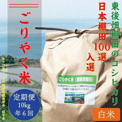【定期便】お米　コシヒカリ　10kg　「ごりやく米」　棚田米　東後畑　白米　毎月　年6回(120001)