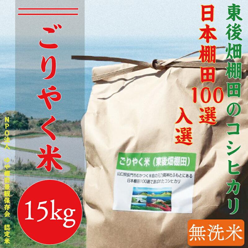 ※令和6年度産先行予約※ 無洗米 玄米相当分 こしひかり15kg 「ごりやく米」 棚田米(1343)