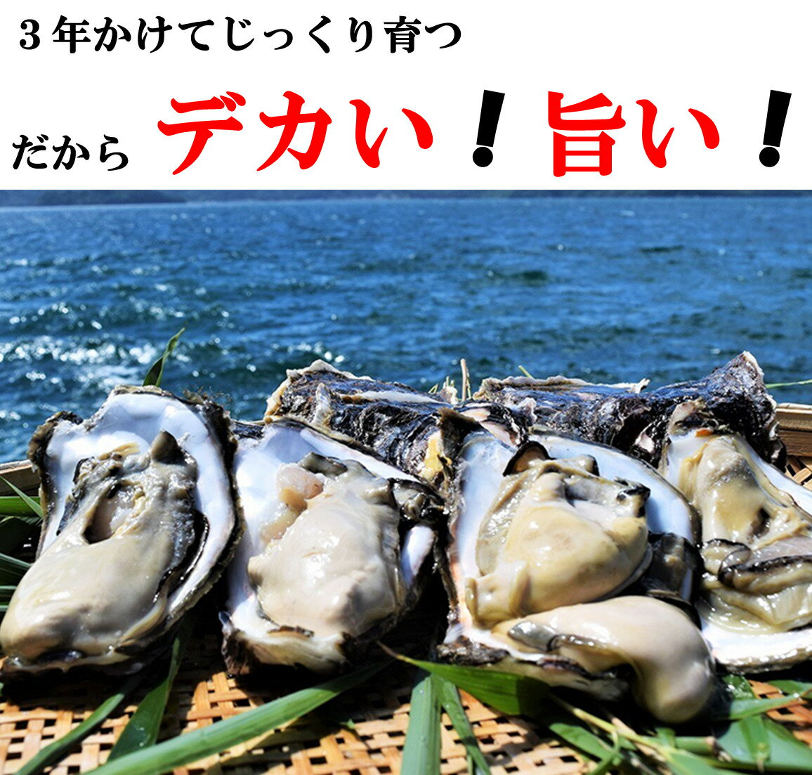 【ふるさと納税】牡蠣 カキ 岩ガキ 岩がき 岩牡蠣 岩カキ さざえ 栄螺 サザエ セット 海のミルク 濃厚 クリーミー 夏バテ防止 5kg 冷凍 焼き 蒸し 加熱 (1336)