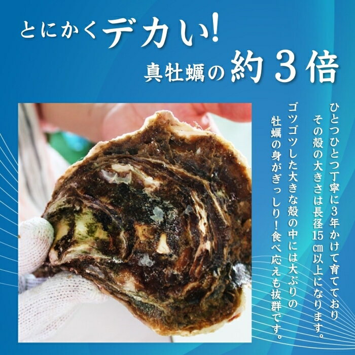 【ふるさと納税】岩カキ 牡蠣 岩牡蠣 海のミルク 濃厚 クリーミー 夏バテ防止 1kg×3回 冷蔵 焼き 蒸し& 加熱 定期便 定期 毎月コース 長門市 (12018)