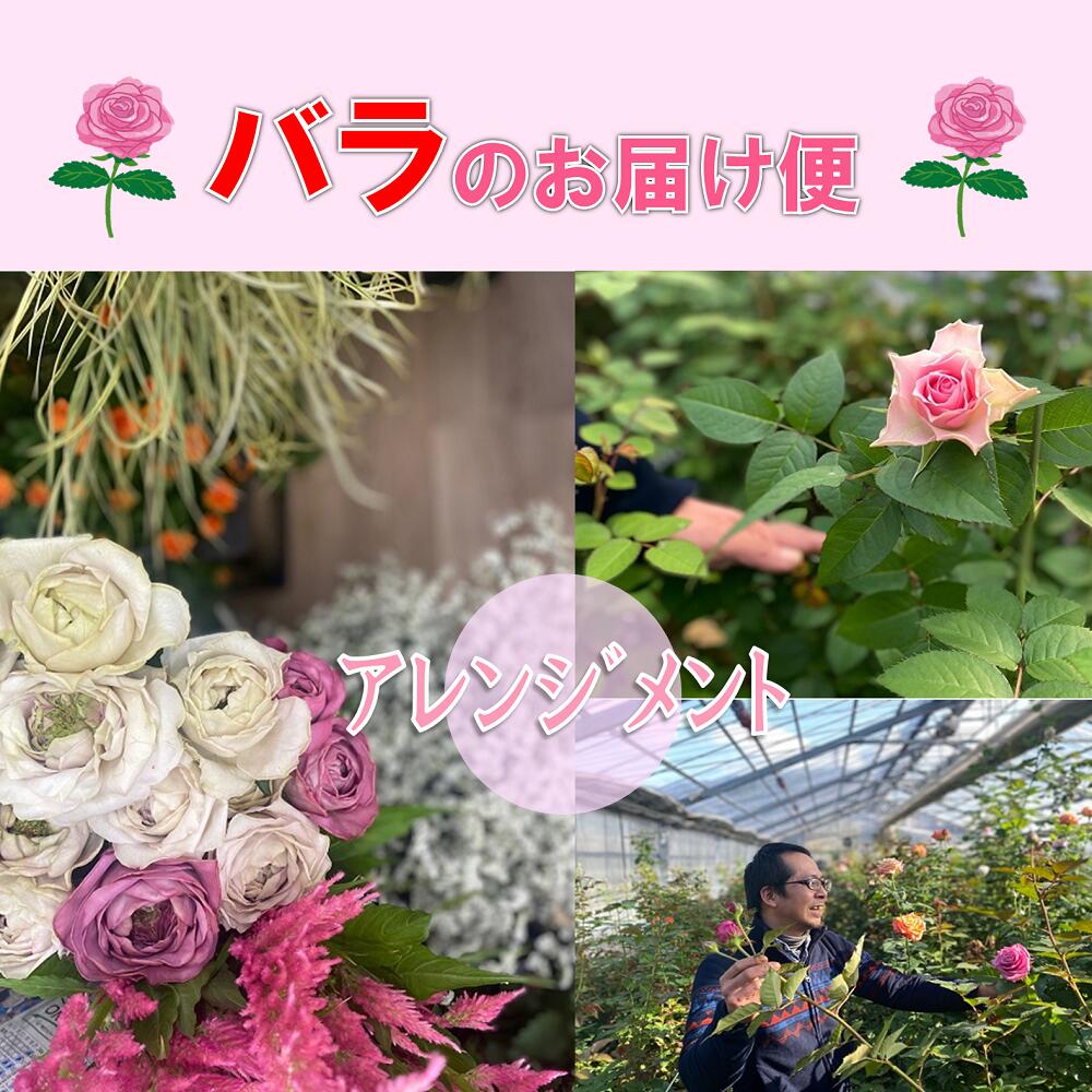 17位! 口コミ数「0件」評価「0」お花 フラワー 花 バラ バラ園 アレンジメント お届け便 山口県 贈り物 ギフト (1257)