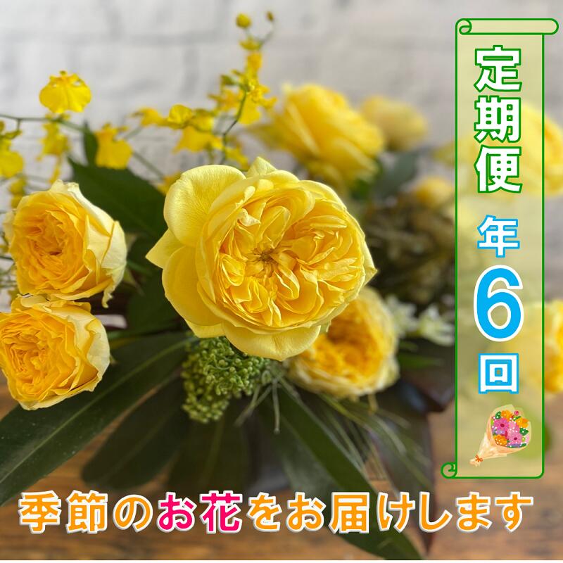 19位! 口コミ数「0件」評価「0」長門産 季節 お花 定期便 フラワー 花 山口県 贈り物 ギフト 年6回 毎月 コース (1601)