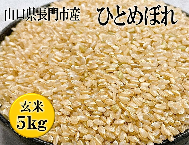 お米 米 こめ 玄米 日置ノ庄 ひとめぼれ 5kg おにぎり 長門市 (10015)