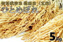 【ふるさと納税】米　玄米　特別栽培米　穂垂米　「ひとめぼれ」　5kg　【令和4年産】(1027)