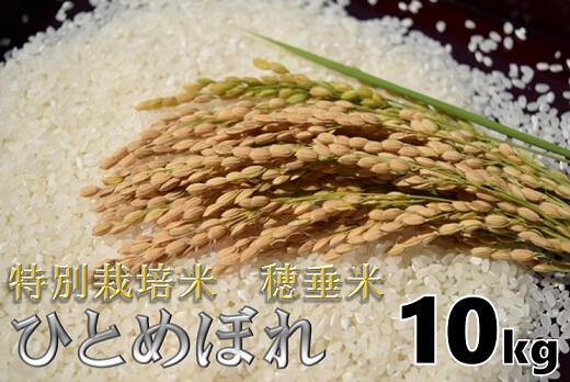 【ふるさと納税】米　精米　白米　特別栽培米　穂垂米　「ひとめぼれ」　10kg　【令和4年産】(1265)