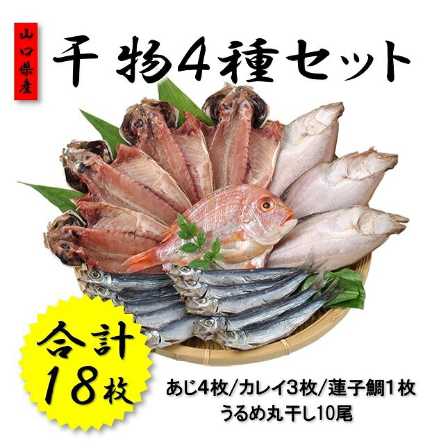 干物 山口県産 干物セット アジ開き カレイ 連子鯛 うるめ丸干し 詰合せ 新鮮 (1047)