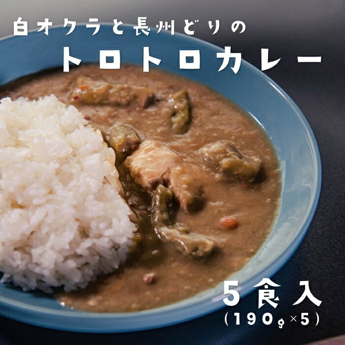 17位! 口コミ数「0件」評価「0」カレー 白オクラカレー 長州どり トロトロカレー ご当地カレー 5箱セット 5食 190g 希少野菜 長門市 オリジナルカレー (10030･･･ 