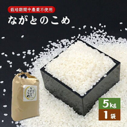 ながとのこめ こしひかり 白米 5kg×1袋 コシヒカリ 精米 栽培期間中農薬不使用 令和5年度 長門市 (10055)