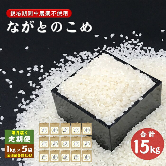 30位! 口コミ数「0件」評価「0」定期便 ながとのこめ 玄米 1kg×5袋 毎月 全3回 合計15kg コシヒカリ こしひかり 長門市（1368）