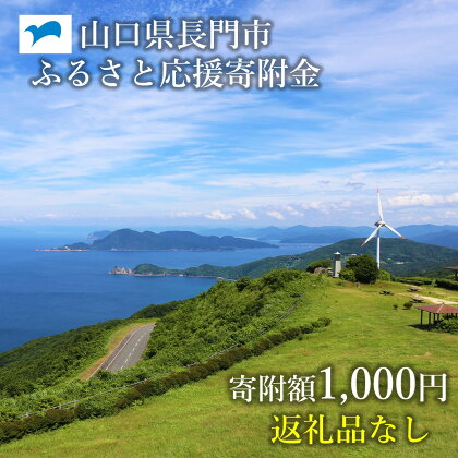 山口県長門市ふるさと応援寄付金1,000円分(返礼品なし)