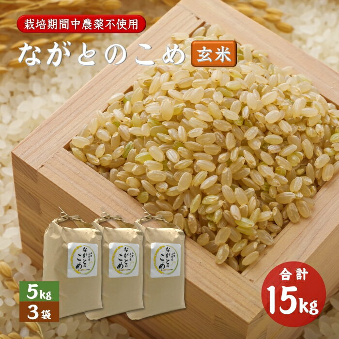 【ふるさと納税】ながとのこめ こしひかり 玄米 5kg×3袋