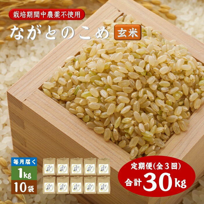 【ふるさと納税】定期便 ながとのこめ 玄米 1kg×10袋 毎月 全3回 合計30kg コシヒカリ こしひかり 令和5年度産 長門市 (1614)